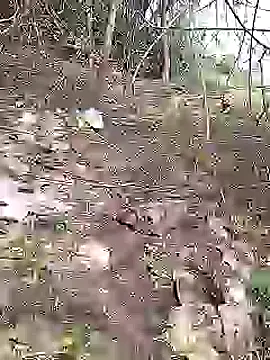 Cute Boy 4 online show from July 11, 7:41 am