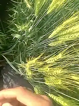 Snapshot of Cute_Boy_4 chatting on February 10, 3:27 am Cute Boy 4 online show from February 10, 3:27 am