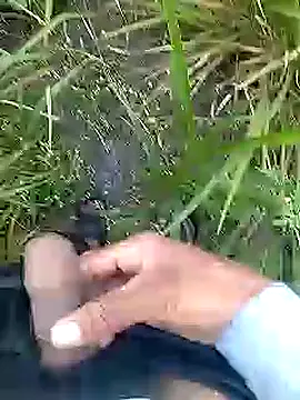 Cute Boy 4 online show from April 11, 2:41 am