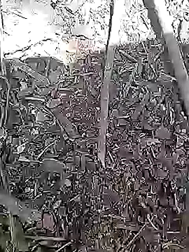 Cute Boy 4 online show from April 15, 8:20 am