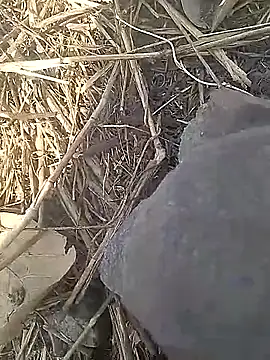 Cute Boy 4 online show from March 13, 9:58 am