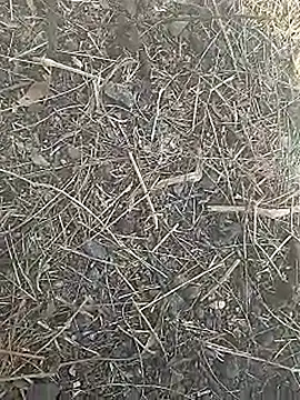 Cute Boy 4 online show from March 8, 7:44 am