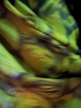 Muskan44s online show from February 17, 12:24 pm