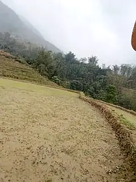 Tina-beo online show from March 28, 2:23 am