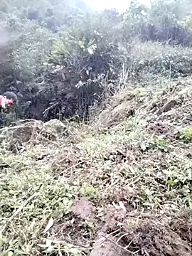 Tina-beo online show from March 13, 1:10 am