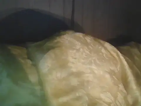 Prikev38452 online show from April 11, 5:59 am