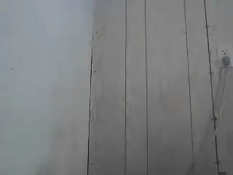 Prikev38452 online show from April 1, 2:14 pm