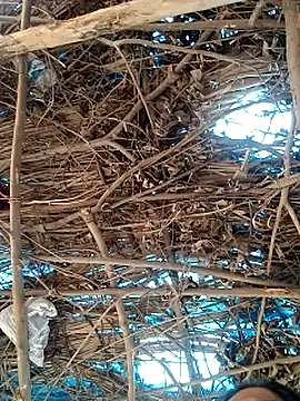 Rajni248096 online show from March 12, 7:56 am