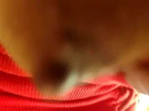 Brissperu18 online show from February 12, 9:09 am