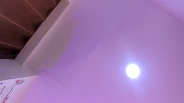 Paris Velvet online show from April 8, 10:33 pm