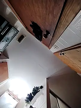 chad23162 online show from February 13, 4:51 pm