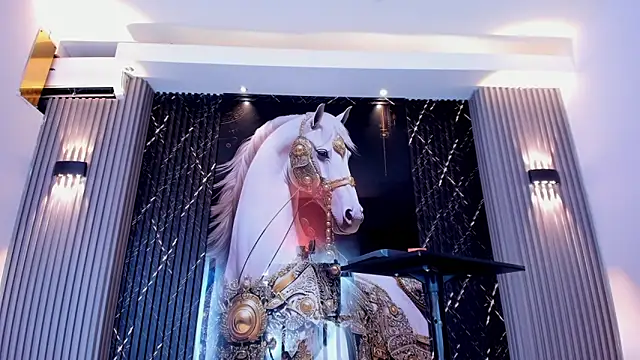 the knights of the night online show from February 28, 6:40 pm