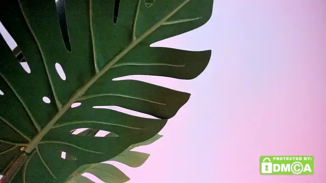 lovesweetash online show from April 13, 2:21 pm