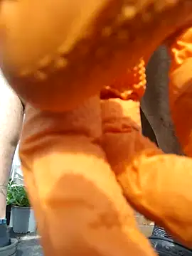 dollar sub online show from March 18, 3:46 pm