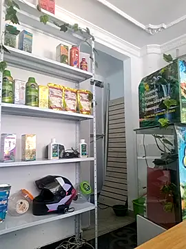 Tatianna Loove  online show from March 14, 2:56 pm