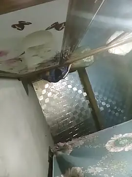 Dunk-namic online show from April 14, 3:17 pm