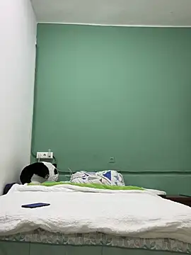 Snapshot of DavShi chatting on February 25, 10:31 pm DavShi online show from February 25, 10:31 pm