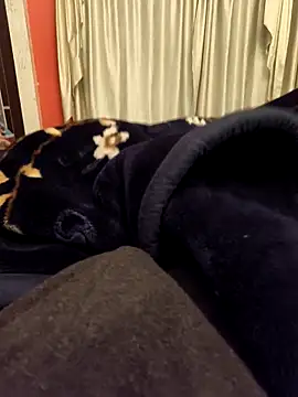 rubitrides11 online show from February 11, 7:47 pm