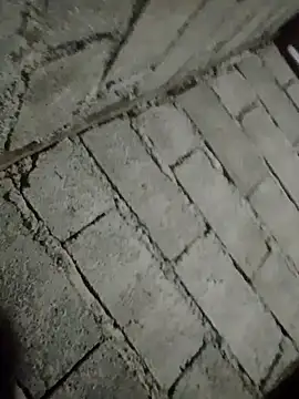 Heavens night04 online show from March 29, 2:30 pm