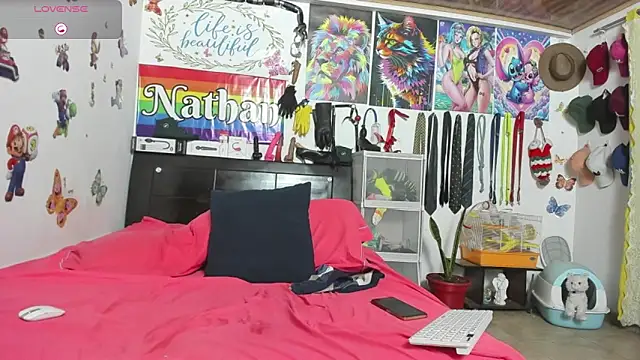 Snapshot of nathannathaniel chatting on February 14, 5:40 am nathannathaniel online show from February 14, 5:40 am