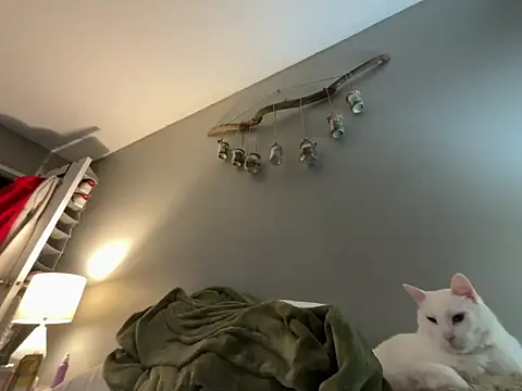 Snapshot of Sexysanka chatting on February 5, 1:01 am Sexysanka online show from February 5, 1:01 am