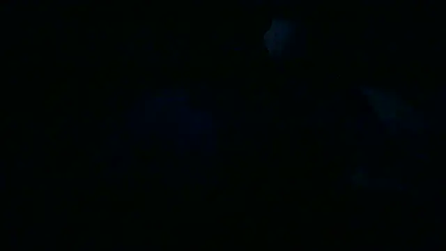 Luanatrav1 online show from March 19, 9:31 am