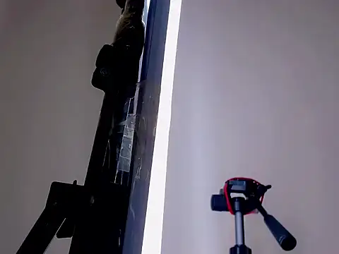 Darianna Atehortua online show from February 22, 1:02 pm