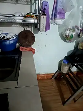 Tulip ii online show from March 21, 10:20 am