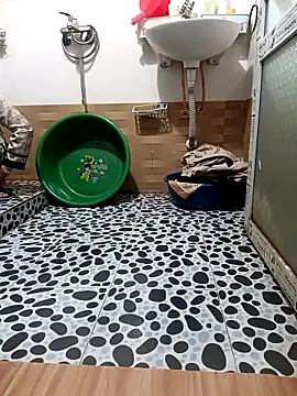 Tulip ii online show from March 7, 1:56 am