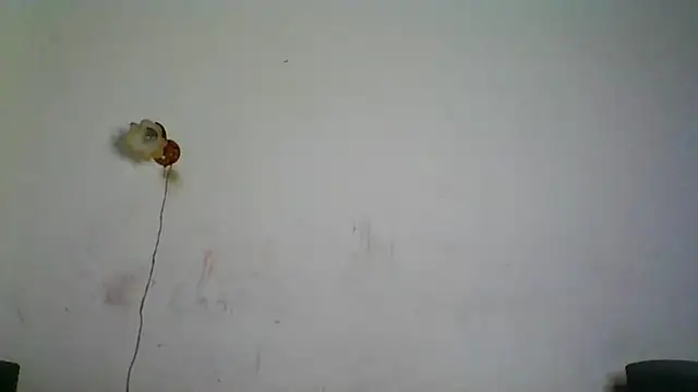 NickiKisinger online show from February 7, 5:26 am