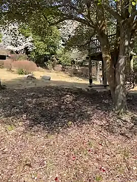 K0U-123 online show from April 3, 12:39 am