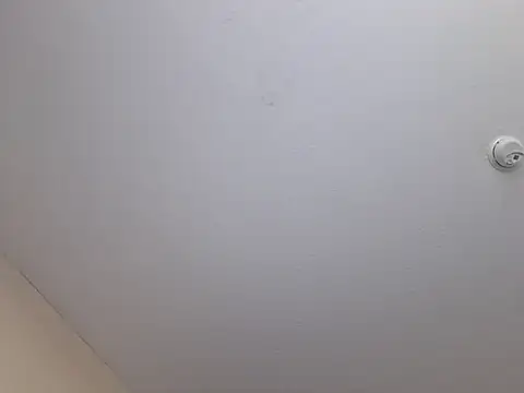 bigbooietx online show from April 8, 2:24 am