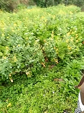 baby 112233 online show from March 13, 1:10 am