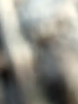 kalai 32 online show from February 3, 2:00 am