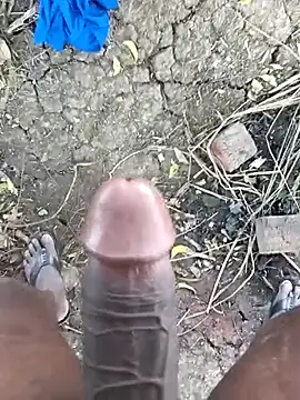 kalai 32 online show from February 10, 5:50 am