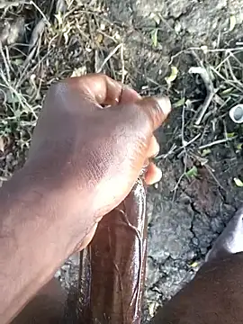 kalai 32 online show from February 13, 2:55 am