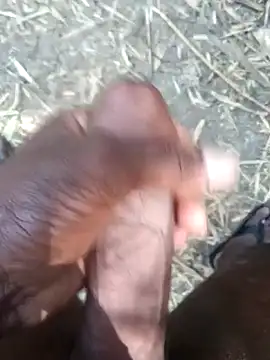 kalai 32 online show from February 17, 6:11 am