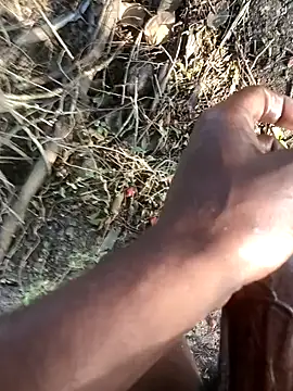 kalai 32 online show from February 12, 2:22 am