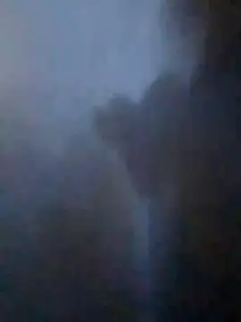 S7LEALTADPERVLIMA7 online show from April 21, 11:11 pm