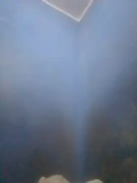 S7LEALTADPERVLIMA7 online show from April 12, 6:00 pm