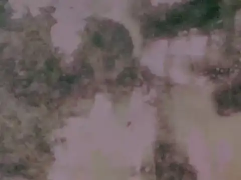 worldClassSelfsuckerxxxxx online show from March 4, 7:10 pm