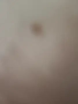 elvergon8721 online show from February 20, 5:26 am