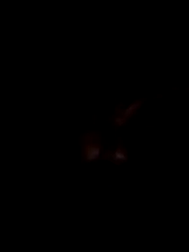 Harry302933 online show from March 11, 4:56 pm