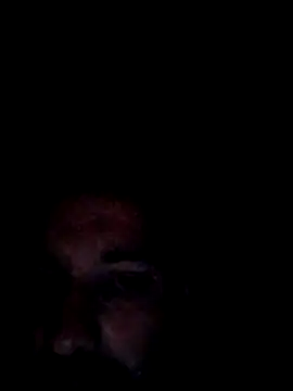 no-name15 online show from February 16, 12:20 am