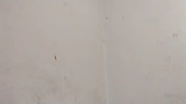 MisterSnowww online show from March 6, 9:54 pm