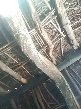 Manu mehta online show from March 31, 4:58 am