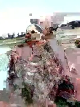 Manu mehta online show from April 5, 1:56 am