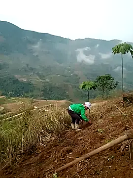 cana4455 online show from March 10, 2:26 am