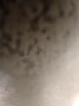 Taboada20 online show from March 6, 8:04 pm