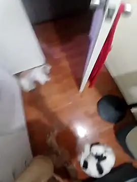 Taboada20 online show from April 8, 10:39 am